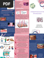 Streptococcus Pyogenes