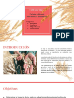 Periodo Crítico de Interferencia de Malezas PDF