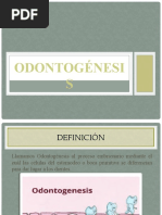 ODONTOGÉNESIS