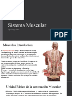 Sistema Muscular