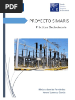 Informe SIMARIS (Bárbara Lomba y Noemí Lorenzo)