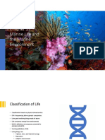 Marine Life and The Marine Environment