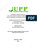 Informe de Practicas Pre Profesionales 2020 Roy Darío Mendoza Lozano