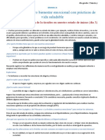 Buscamos Nuestro Bienestar Emocional Con Prácticas de Vida Saludable