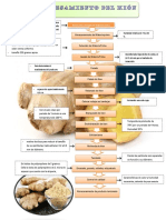 Kion y Palmito Mod PDF