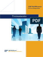 Treinamento PI v1 1