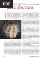 Astrophytum: CACTUS TIPS From A Master Grower