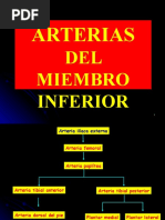 Arterias Mi