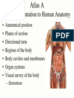 General Orientation To Human Anatomy: Atlas A