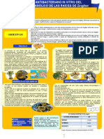 Infografia de Tesis A Base de Kion y Curcuma