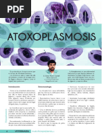 Veterinaria Atoxoplasmosis OMarin