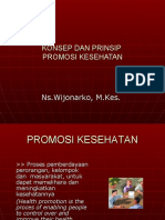 Konsep Dan Prinsip Promosi Kesehatan