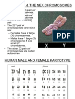 Sex Linked Inheritance