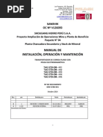 Iom Polea Magnetica