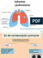 SX Pleuropulmonares