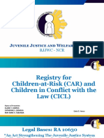 CAR and CICL Registry 2019