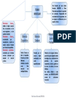 Tejido Muscular Mapa
