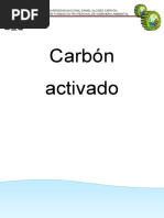 Carbon Activado Grupo 5