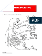 El Camino de Los Alimentos para Primero de Primaria