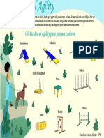 Agility PDF