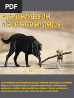 AV 35 Enfermedades Crecimiento Perros PDF