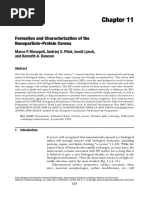 Formation and Characterization of The Nanoparticle-Protein Corona