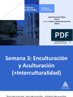 Presentación Enculturación