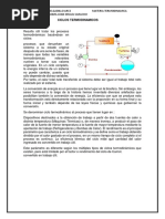 Ciclos Termodinamicos Investigacion