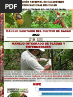 Manejo Sanitario Cacao PDF