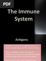 As Level Biology AQA Immune Response