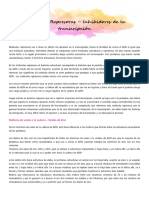 PDF Documento