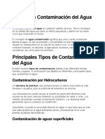 Principales Tipos de Contaminación Del Agua