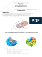 Eucariota y Procariota Taller 5