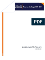 Neuropsicologia Por Lucia Torres UAPA Tarea Semana 7