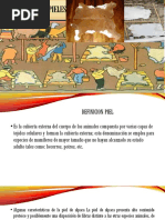 Conservacion de Pieles PDF