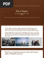 Bill of Rights Section 3