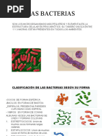 Taxonomia Sexto Bacterias 2020