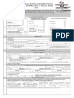 Formulario RUES