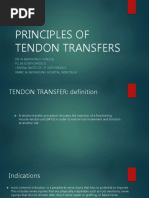 Principles of Tendon Transfers