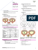 Ob Multifetal Preganancy