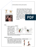 Rutina Principiantes 2 Semanas Acondicionamiento Mas 4 Dias