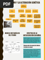 El Plomo y La Alteración Genética