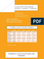 Formulas Leucocitarias