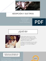 Adopción y Sus Tipos PDF