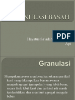 Granulasi Basah 2