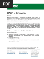 BASF in Indonesia Backgrounder-2017 Figures