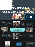 Principio de Resocialización