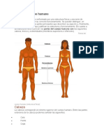 Partes Del Cuerpo Humano: Cabeza