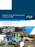 Ejemplos de Proyectos PMI