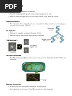 Cellular Division Reviewer PDF